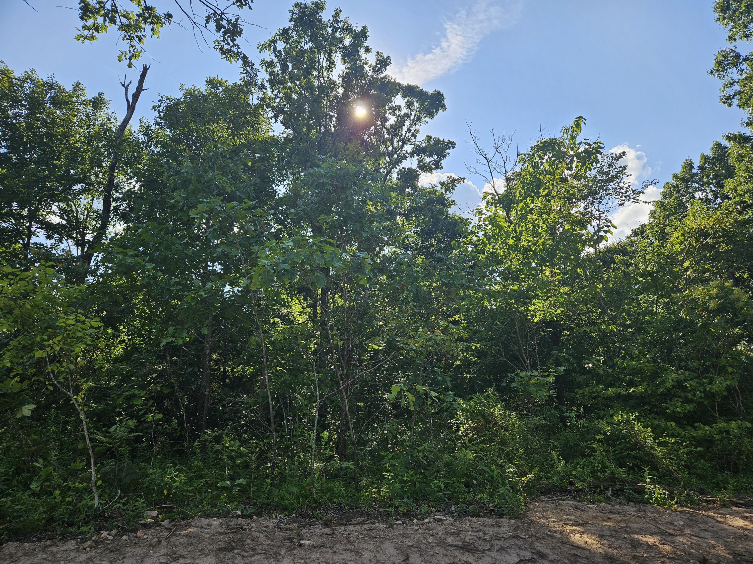 Photo 9 - Land for sale – Lot 10  Deerwood Estates   Aurora, MO