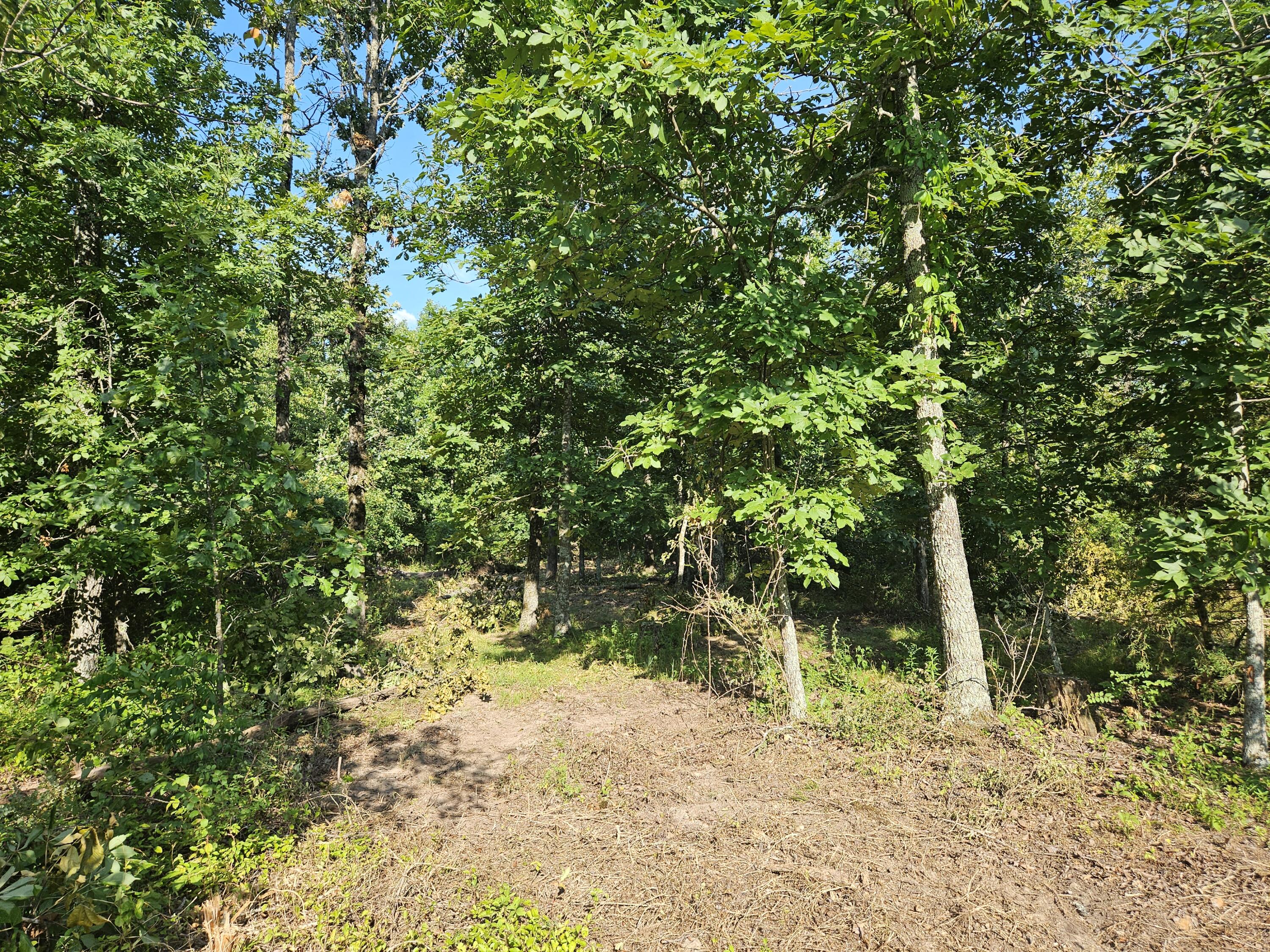 Photo 20 - Land for sale – Lot 14  Deerwood Estates   Aurora, MO