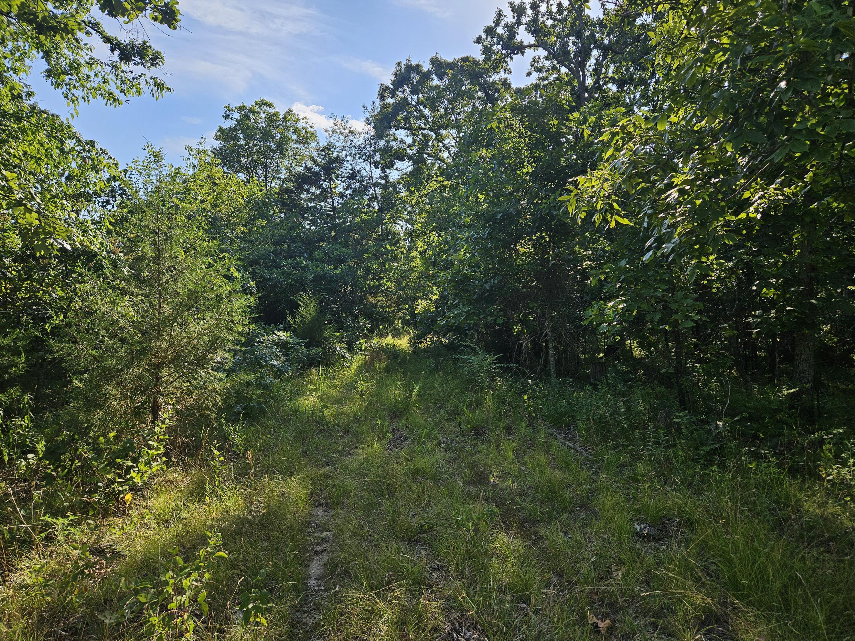 Photo 21 - Land for sale – Lot 15  Deerwood Estates   Aurora, MO