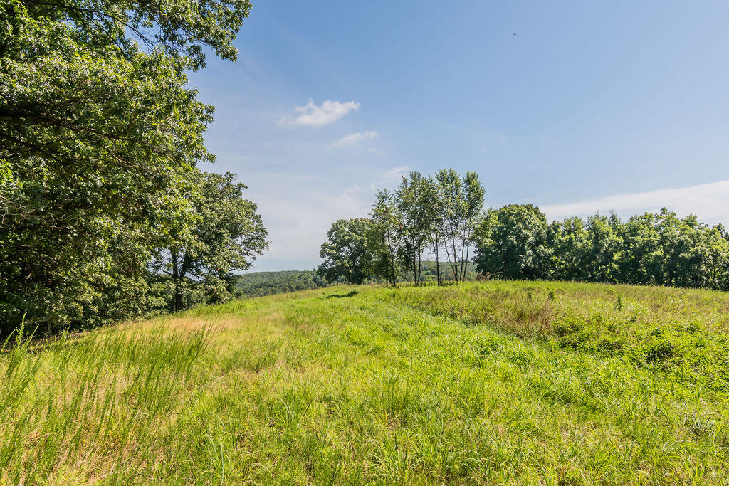 Photo 64 - Residential for sale – 32103  State Highway 413   Galena, MO