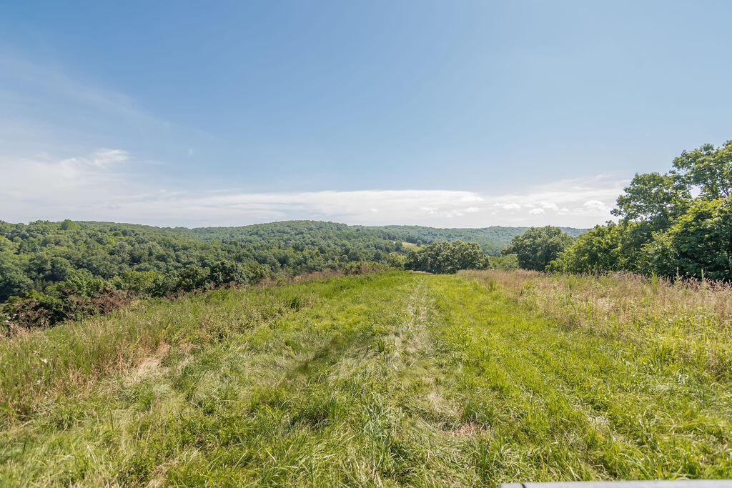 Photo 62 - Residential for sale – 32103  State Highway 413   Galena, MO