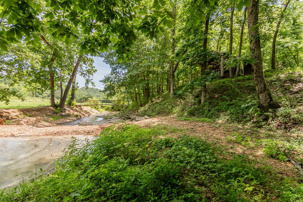 Photo 42 - Residential for sale – 32103  State Highway 413   Galena, MO