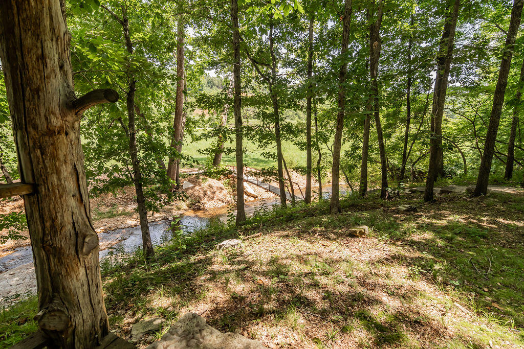 Photo 49 - Residential for sale – 32103  State Highway 413   Galena, MO