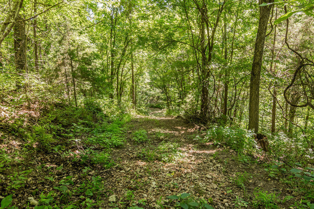 Photo 65 - Residential for sale – 32103  State Highway 413   Galena, MO
