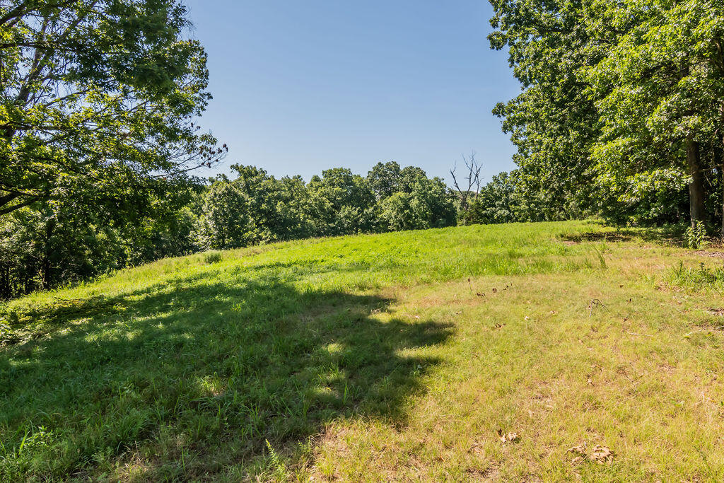 Photo 63 - Residential for sale – 32103  State Highway 413   Galena, MO