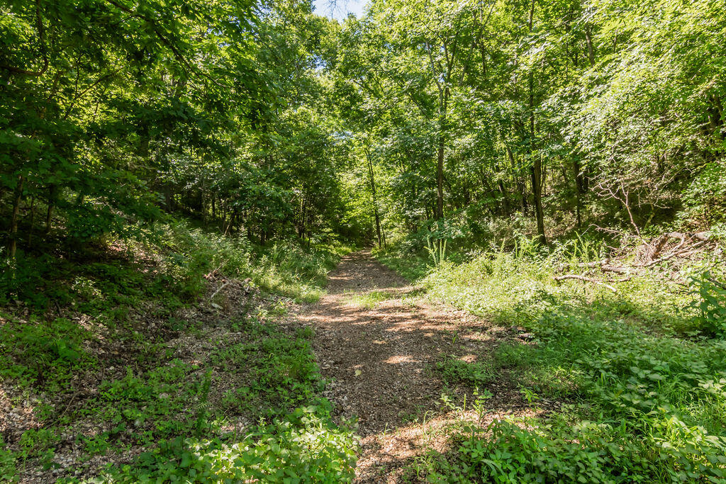 Photo 69 - Residential for sale – 32103  State Highway 413   Galena, MO