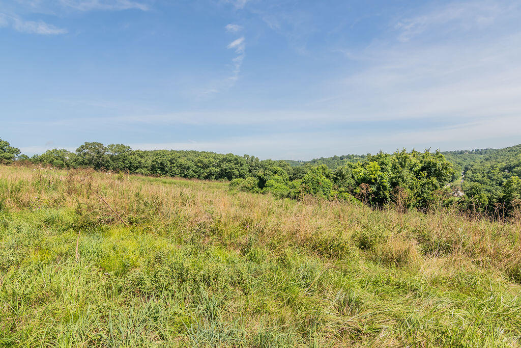 Photo 59 - Residential for sale – 32103  State Highway 413   Galena, MO