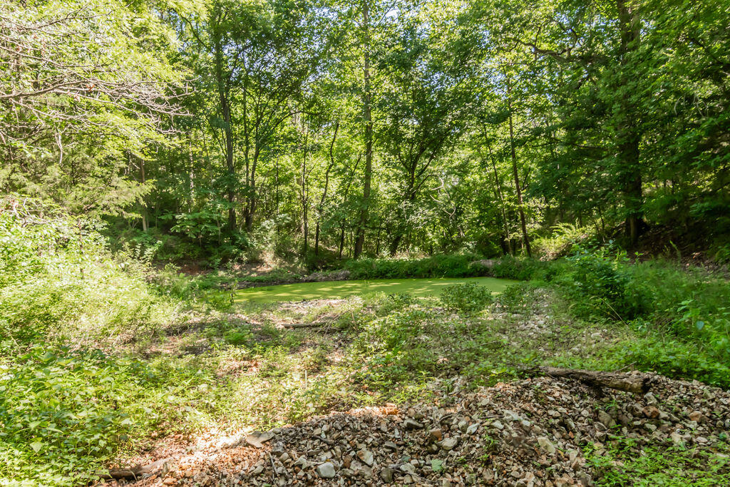 Photo 66 - Residential for sale – 32103  State Highway 413   Galena, MO