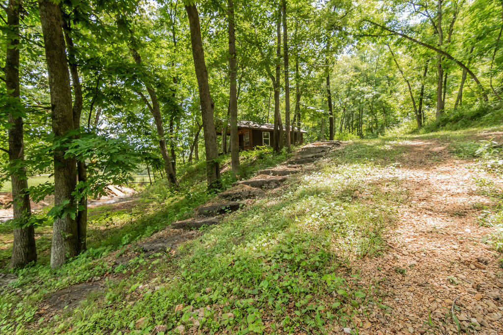 Photo 50 - Residential for sale – 32103  State Highway 413   Galena, MO