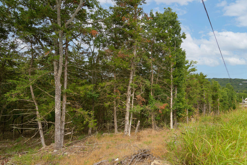 Photo 10 - Land for sale – 2028  Indian Point Road  Branson, MO