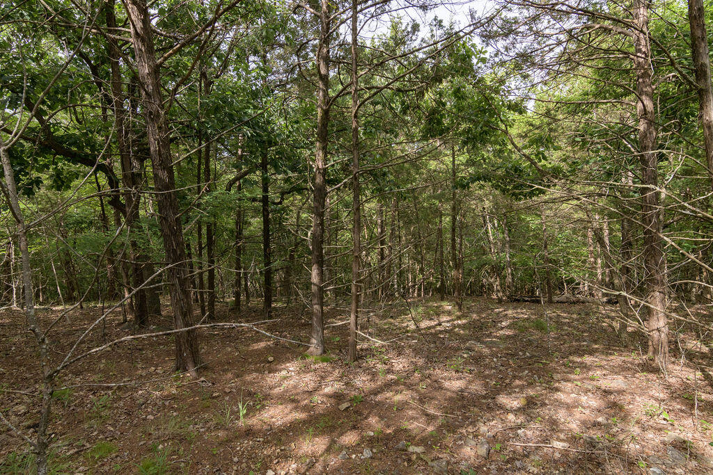 Photo 14 - Land for sale – 2028  Indian Point Road  Branson, MO