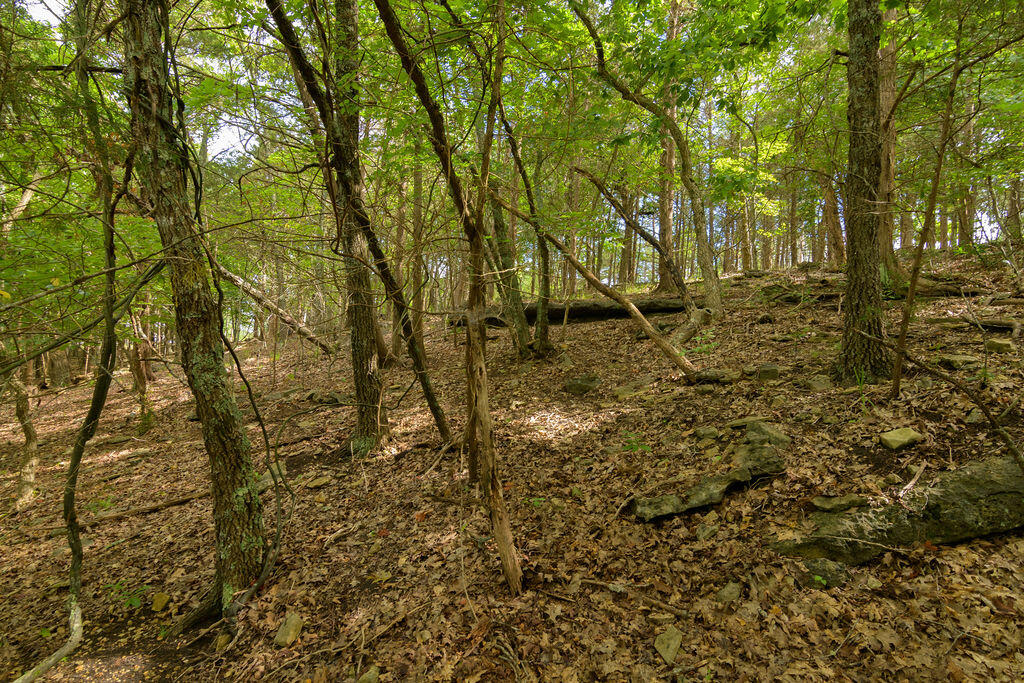 Photo 17 - Land for sale – 2028  Indian Point Road  Branson, MO