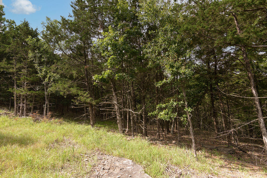 Photo 13 - Land for sale – 2028  Indian Point Road  Branson, MO