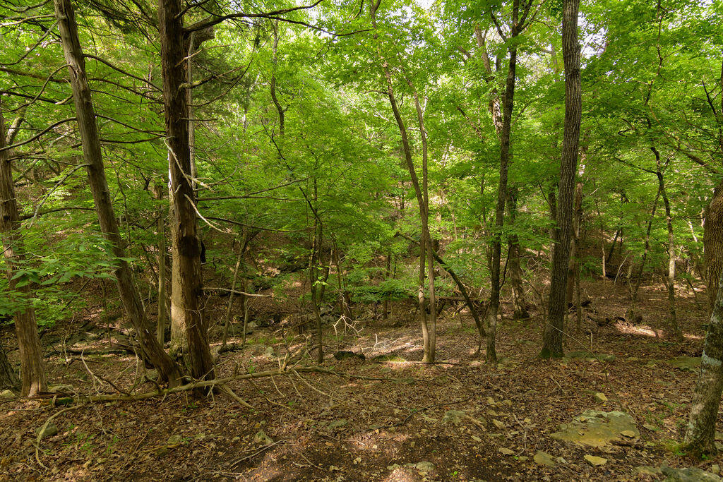 Photo 18 - Land for sale – 2028  Indian Point Road  Branson, MO