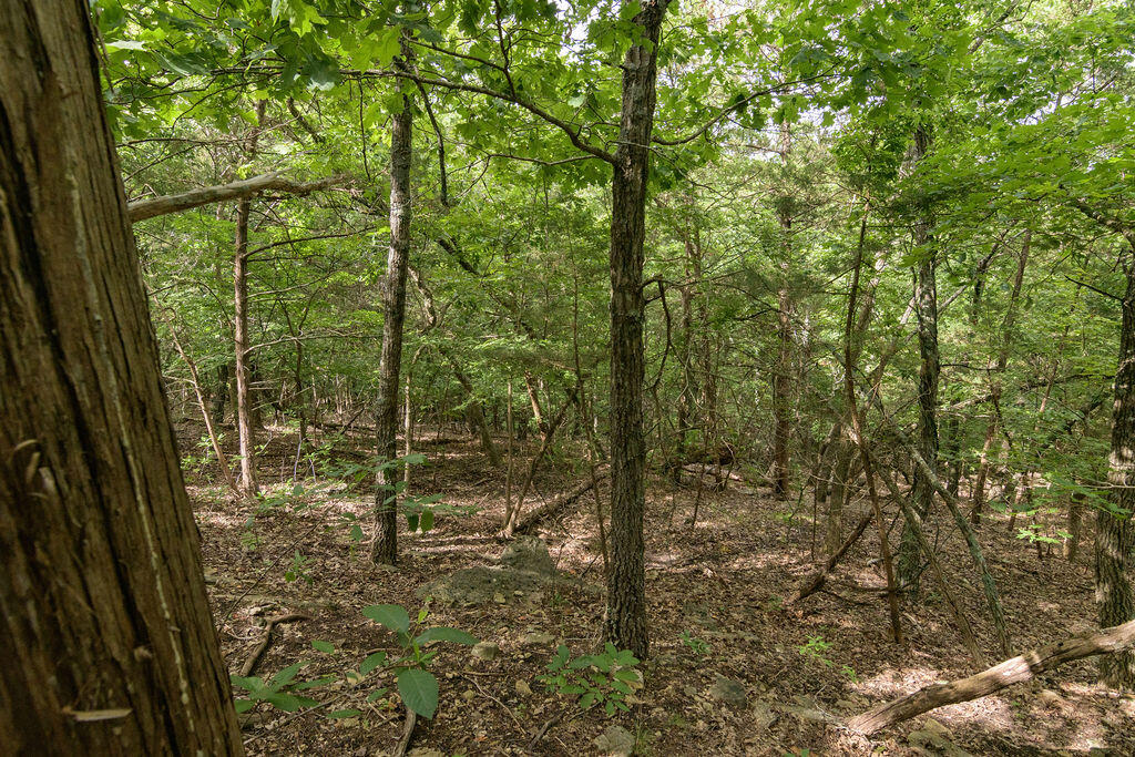 Photo 15 - Land for sale – 2028  Indian Point Road  Branson, MO