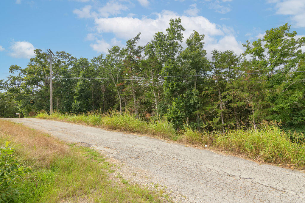 Photo 12 - Land for sale – 2028  Indian Point Road  Branson, MO