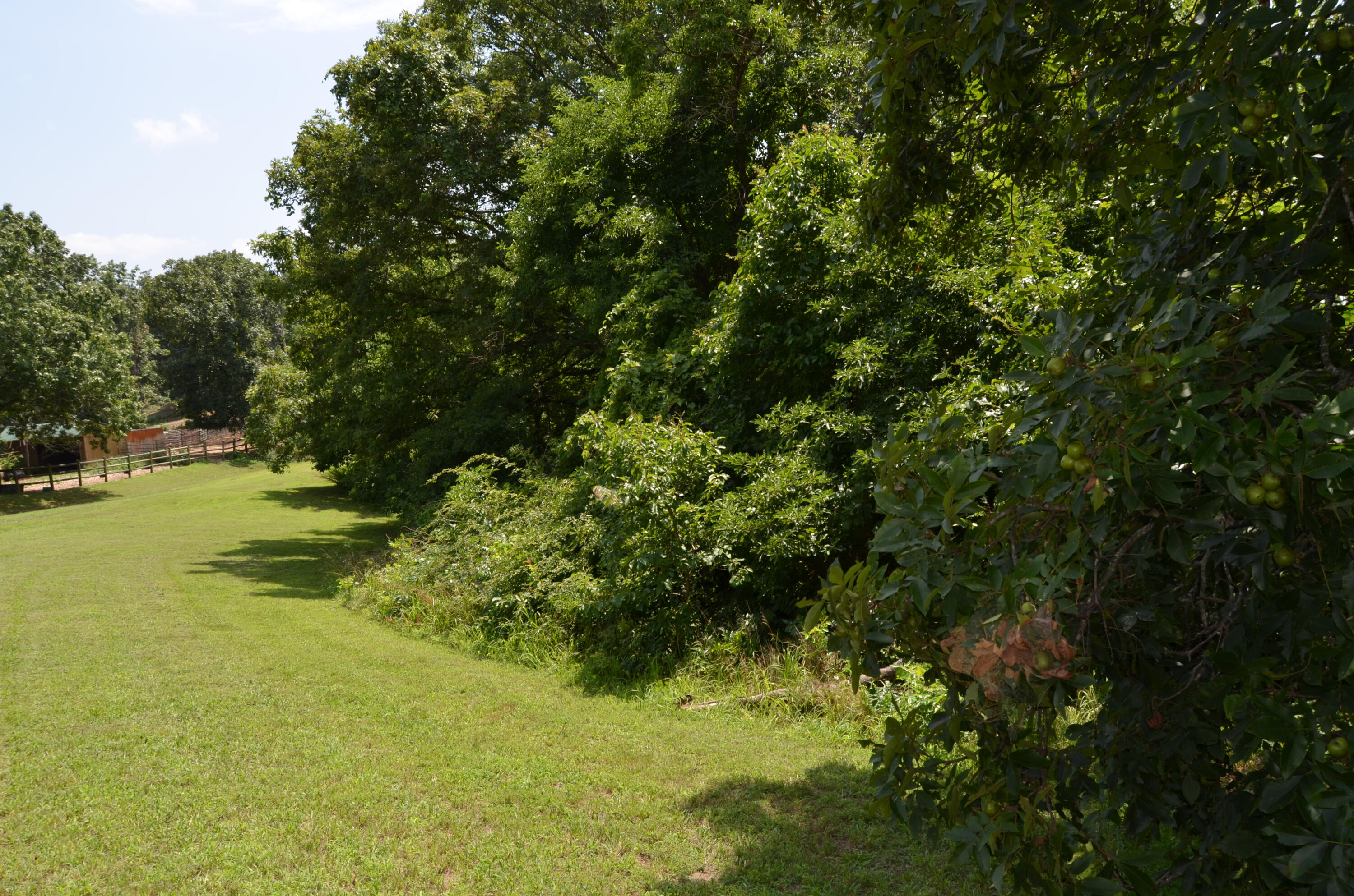 Photo 30 - Land for sale – 16  Acres Cliffside Drive  Galena, MO