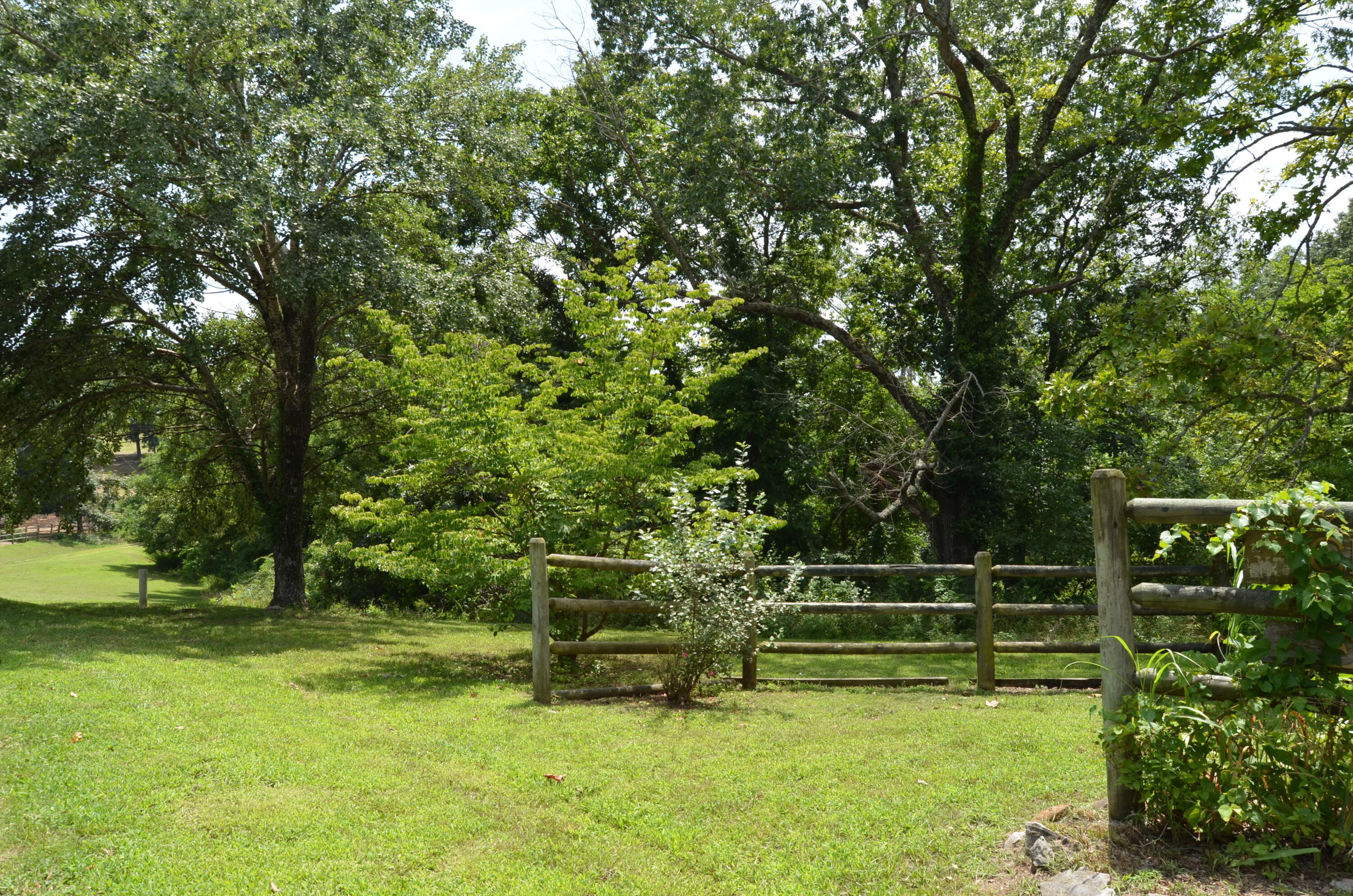Photo 27 - Land for sale – 16  Acres Cliffside Drive  Galena, MO