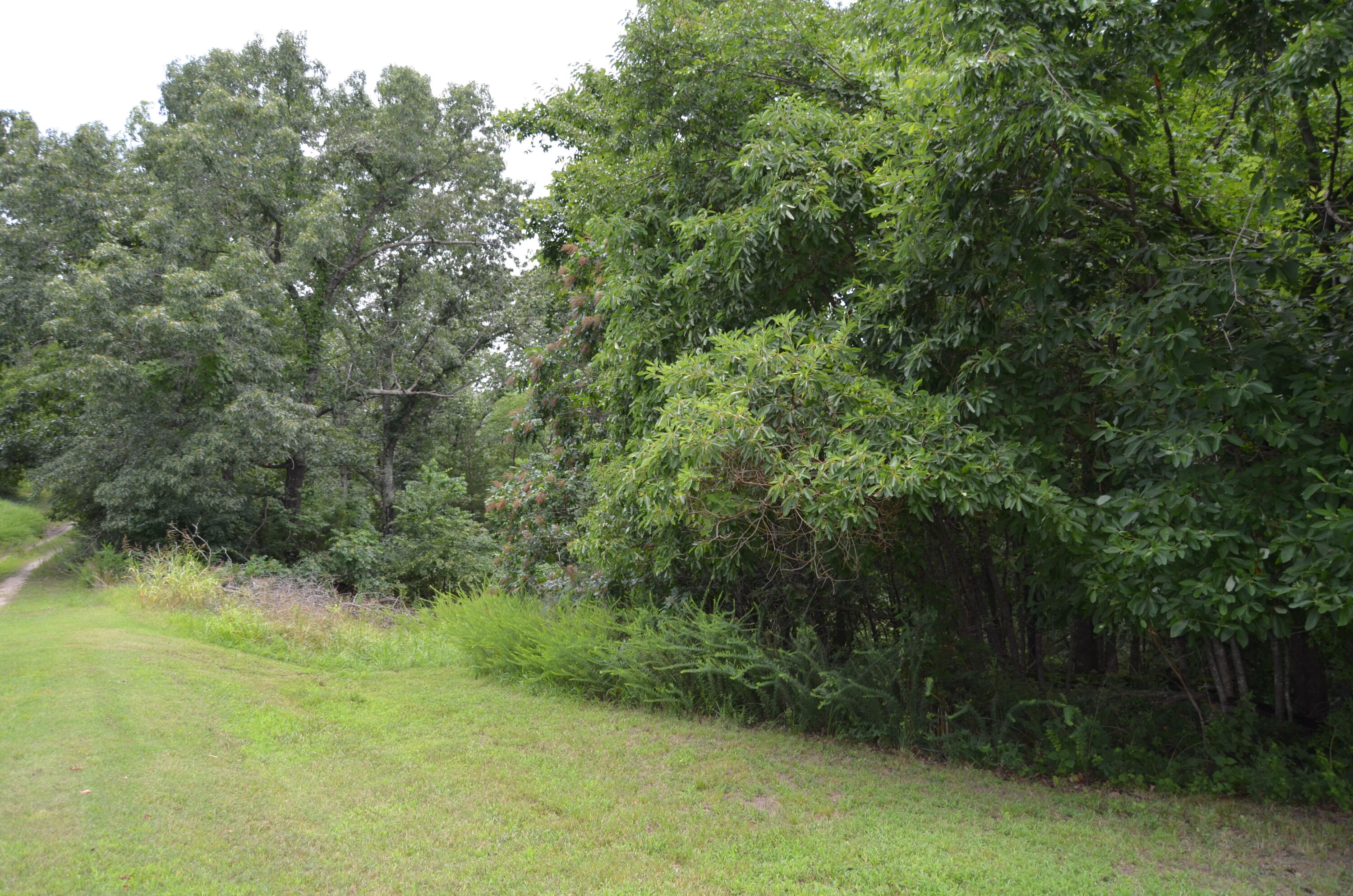Photo 24 - Land for sale – 16  Acres Cliffside Drive  Galena, MO