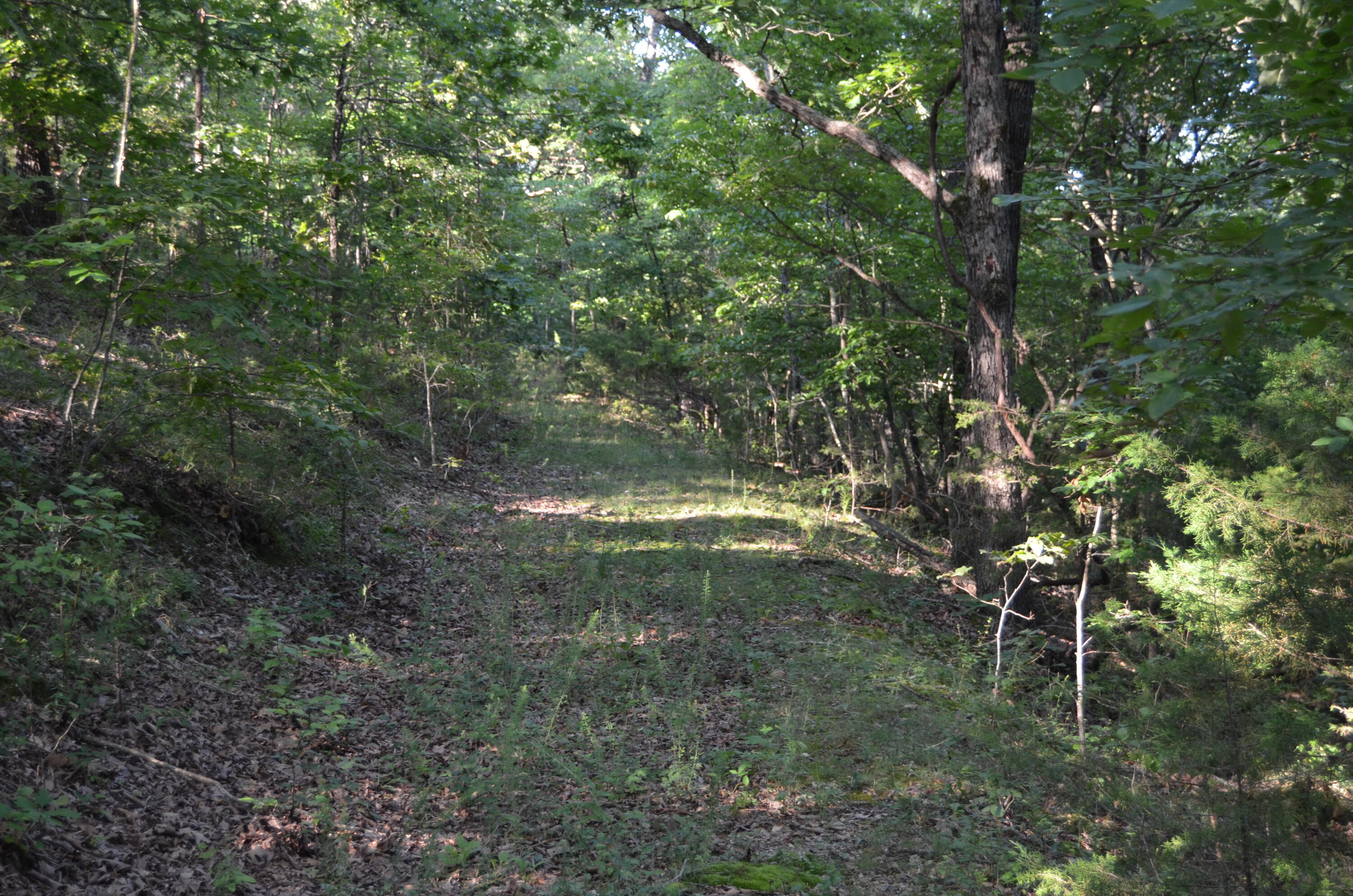 Photo 8 - Land for sale – 16  Acres Cliffside Drive  Galena, MO
