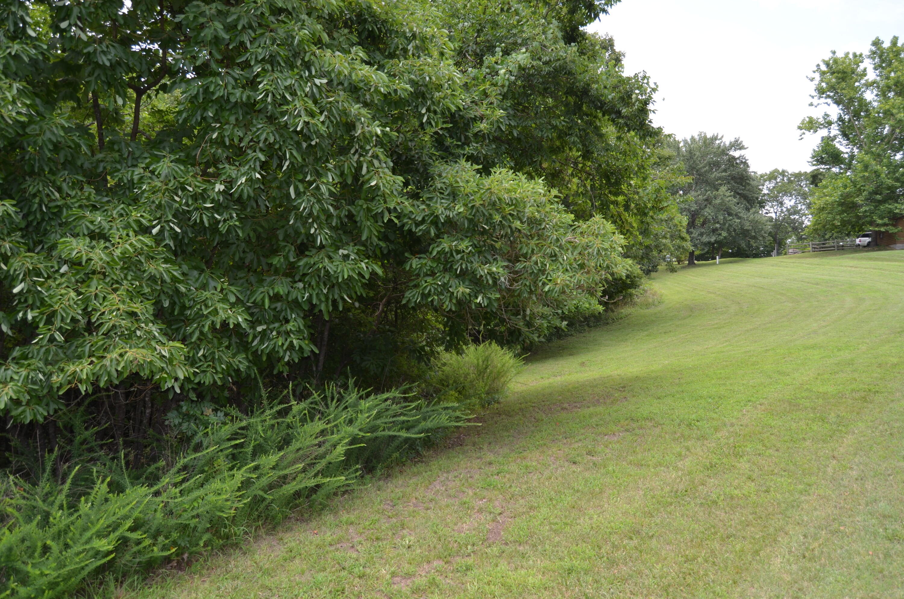 Photo 21 - Land for sale – 16  Acres Cliffside Drive  Galena, MO