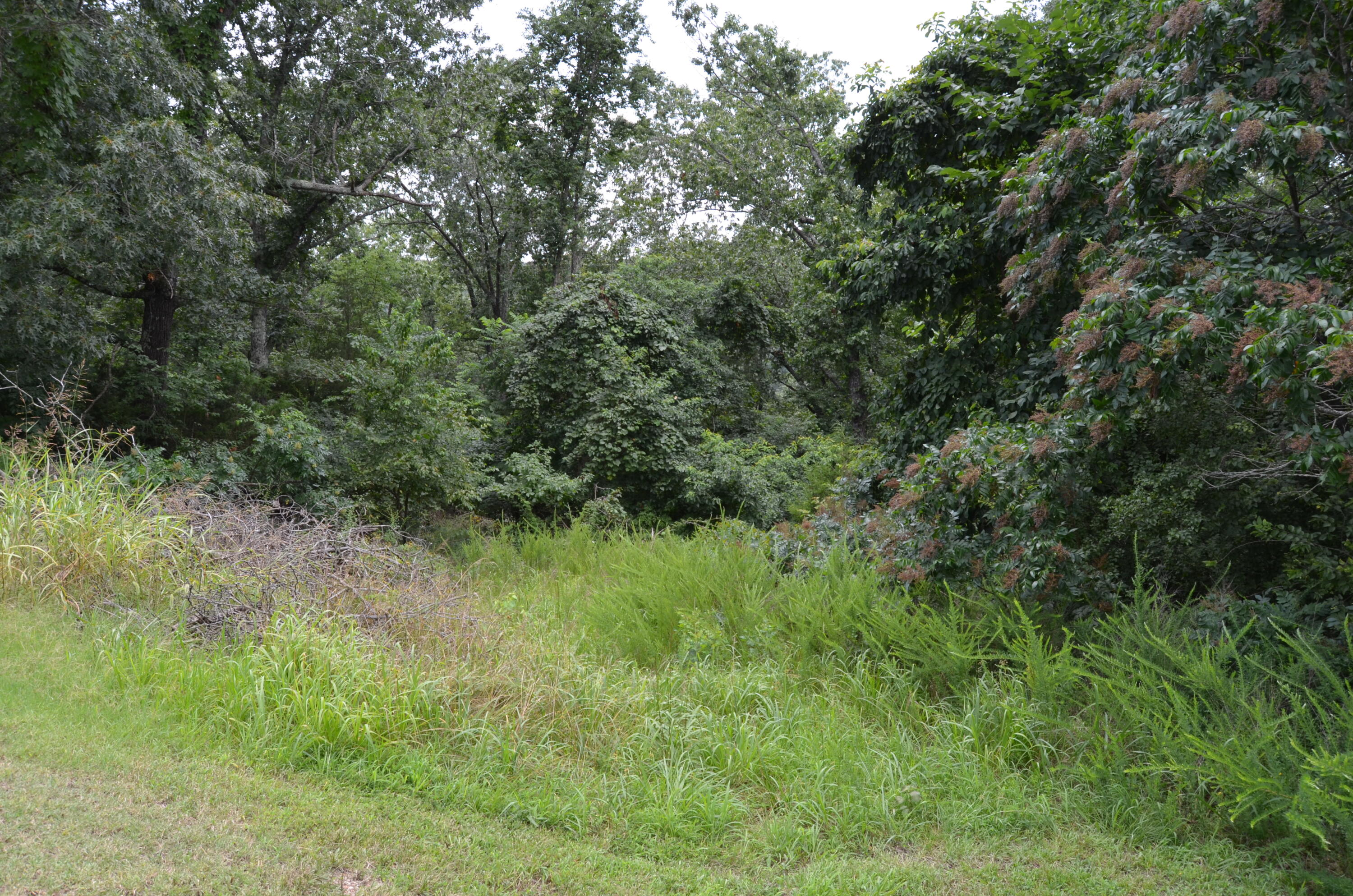 Photo 22 - Land for sale – 16  Acres Cliffside Drive  Galena, MO