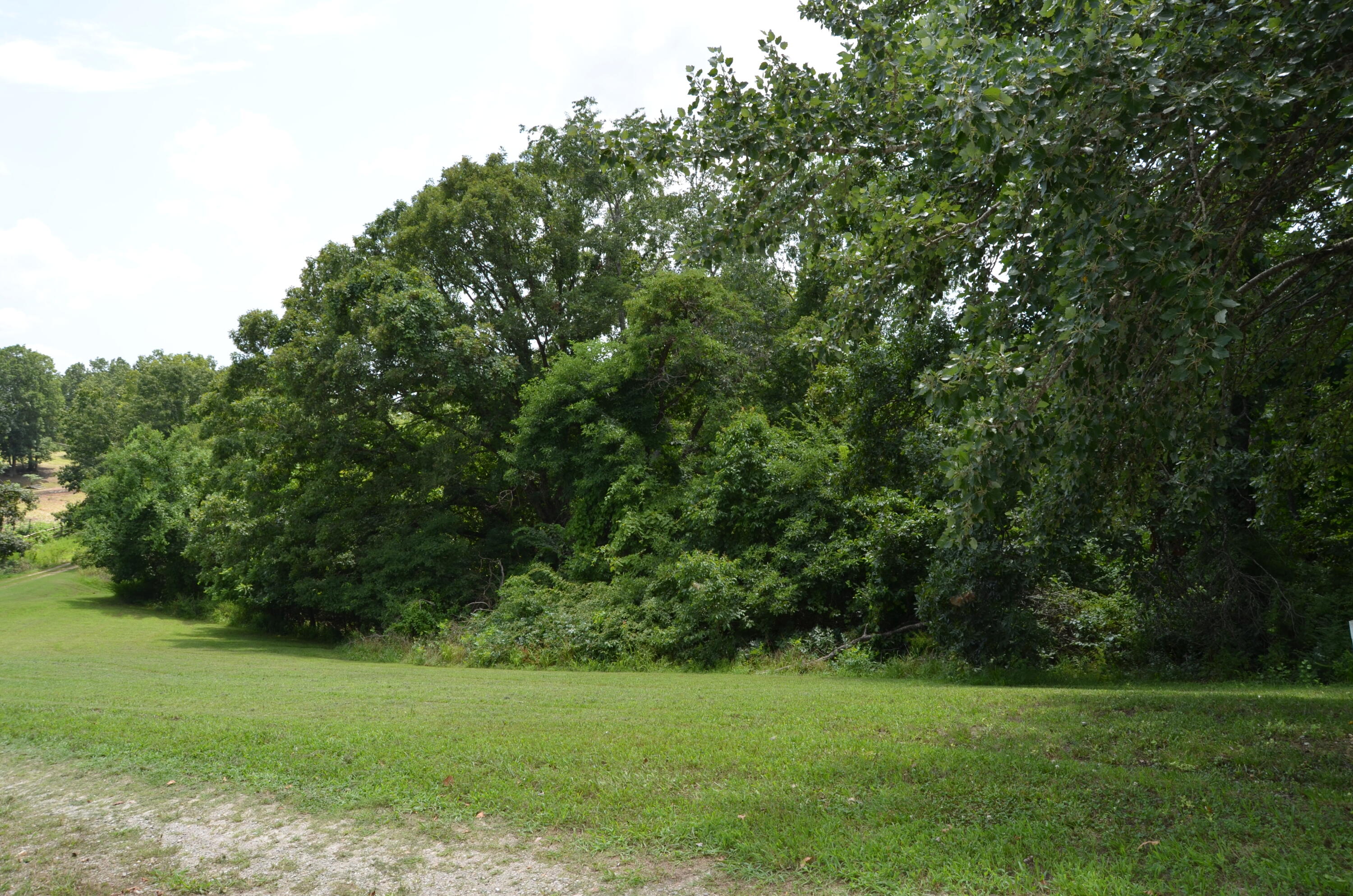 Photo 25 - Land for sale – 16  Acres Cliffside Drive  Galena, MO