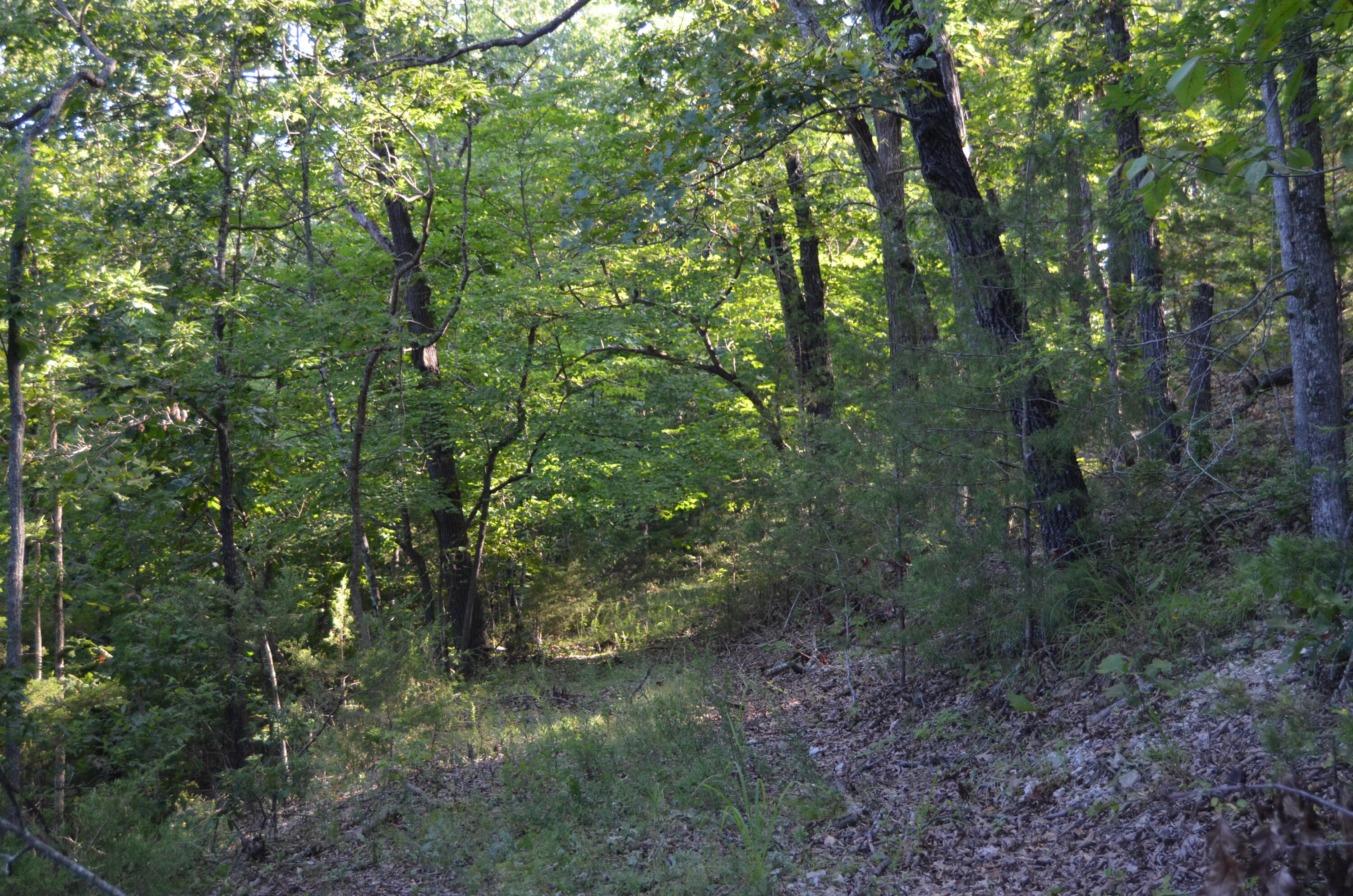 Photo 31 - Land for sale – 16  Acres Cliffside Drive  Galena, MO