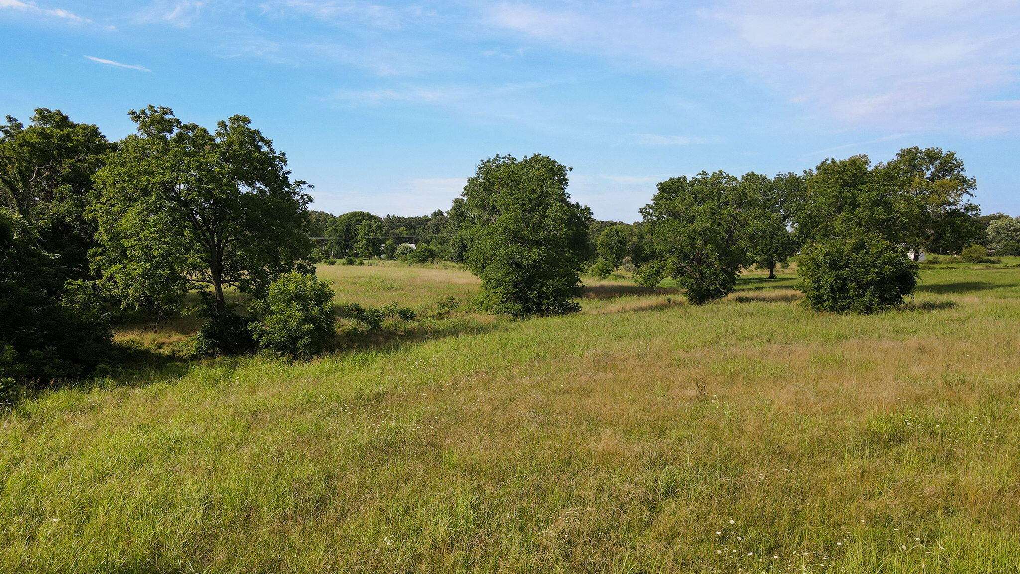 Photo 14 - Land for sale – 000 E Farm Road 194   Rogersville, MO