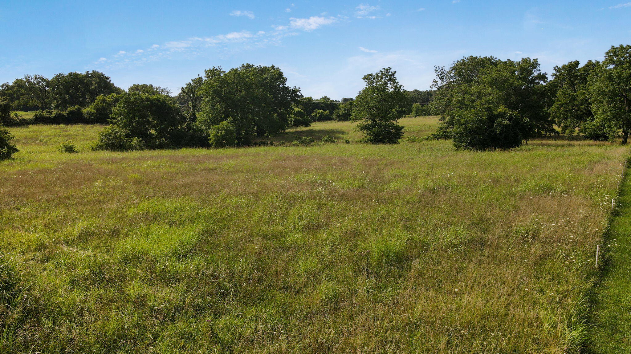 Photo 9 - Land for sale – 000 E Farm Road 194   Rogersville, MO