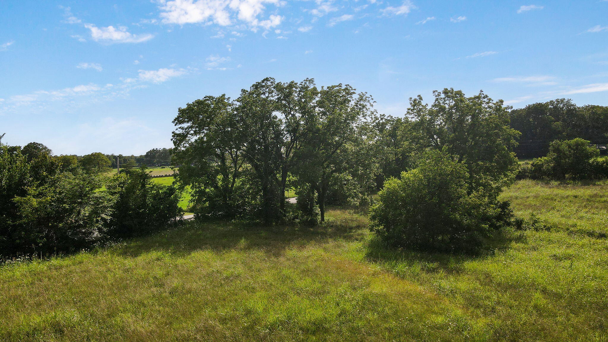 Photo 12 - Land for sale – 000 E Farm Road 194   Rogersville, MO