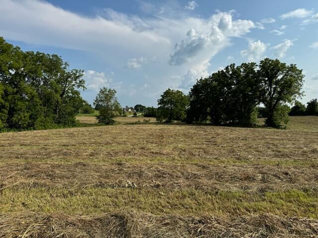 Photo 19 - Land for sale – 000 E Farm Road 194   Rogersville, MO
