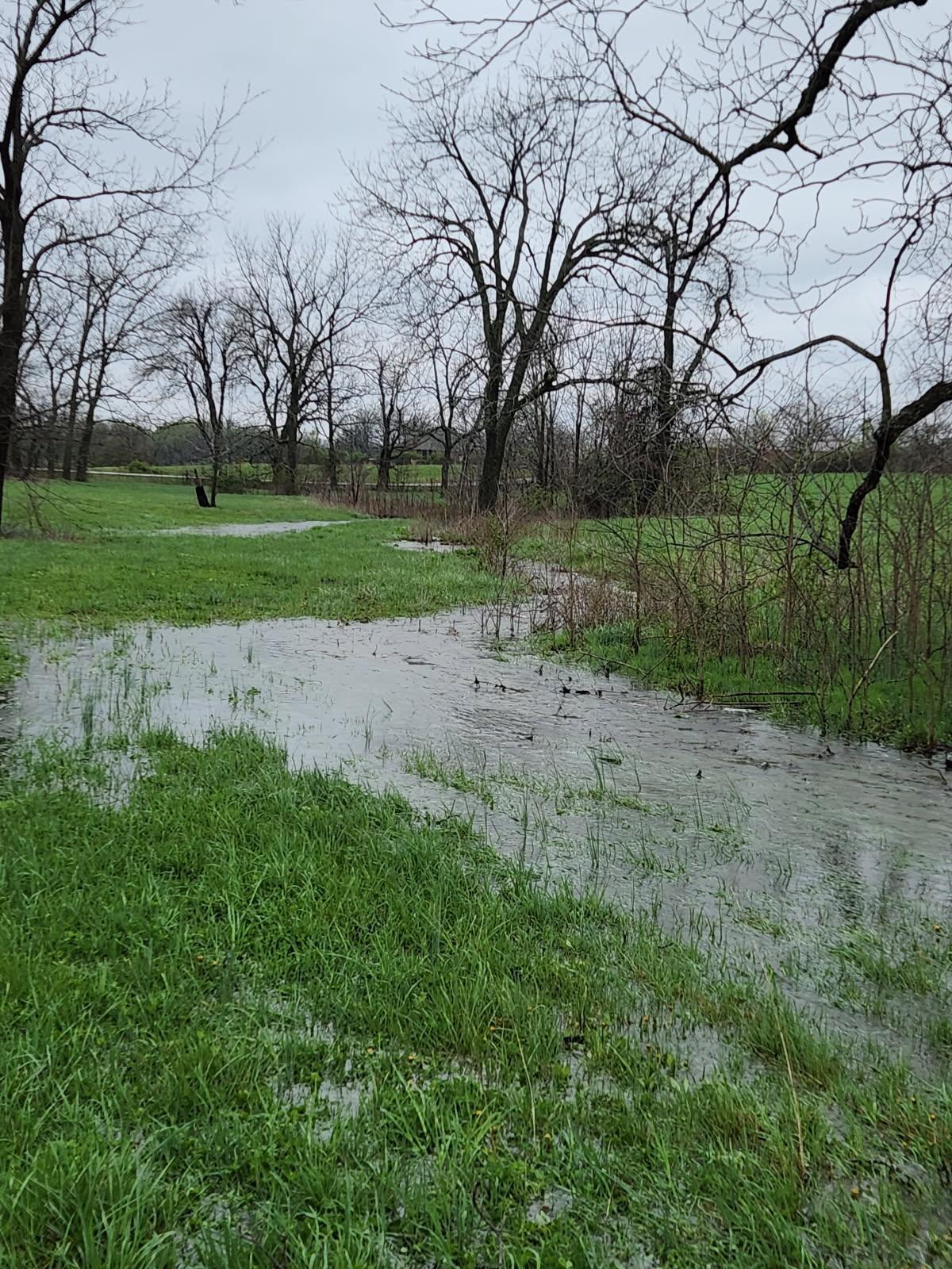 Photo 22 - Land for sale – 000 E Farm Road 194   Rogersville, MO
