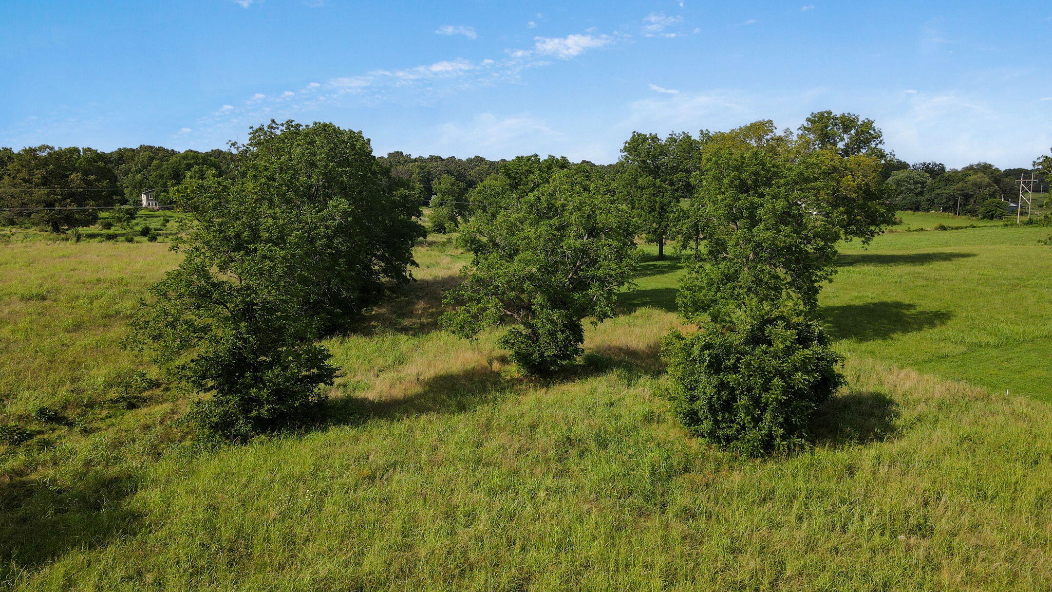 Photo 11 - Land for sale – 000 E Farm Road 194   Rogersville, MO
