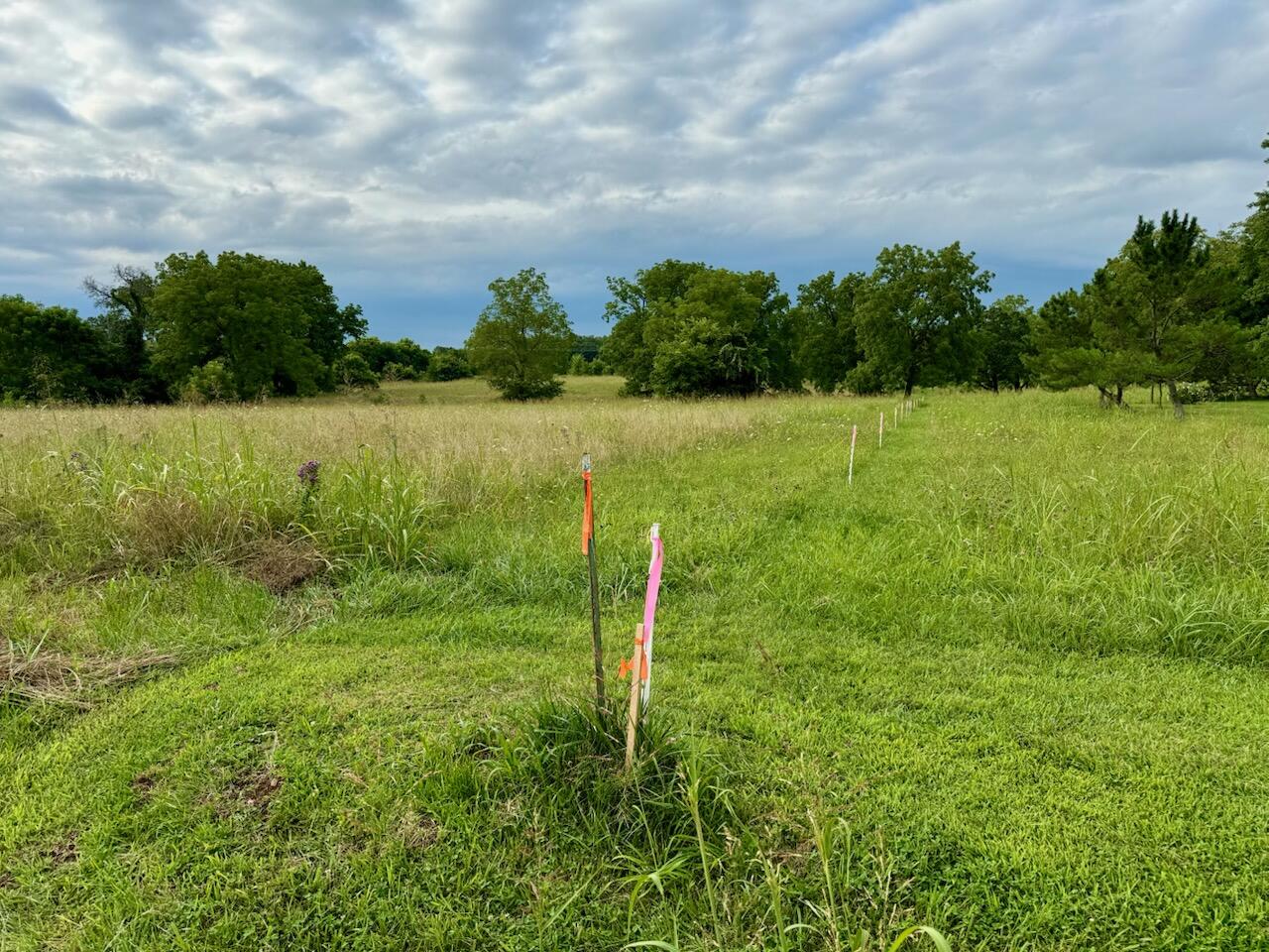 Photo 20 - Land for sale – 000 E Farm Road 194   Rogersville, MO