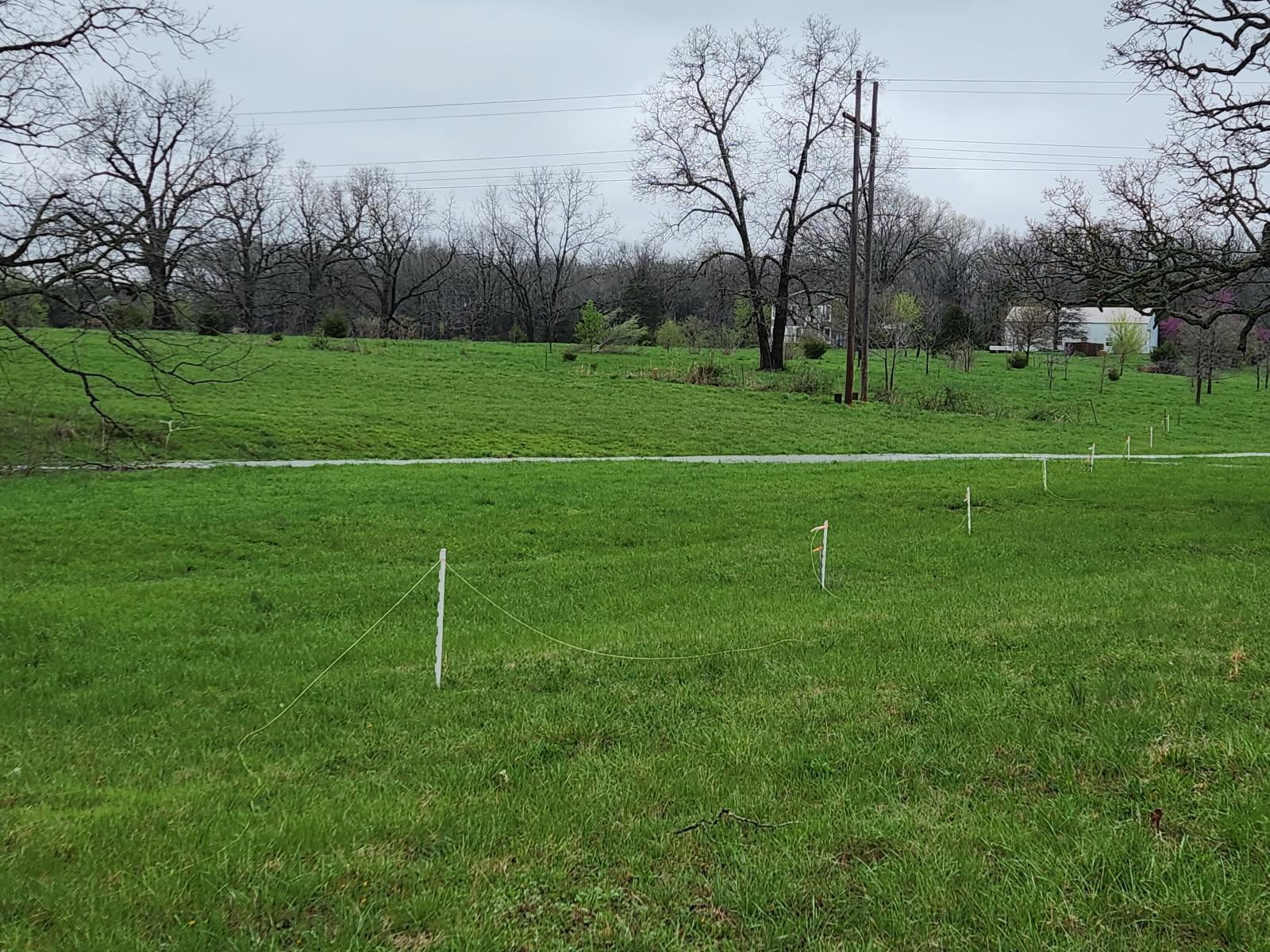 Photo 23 - Land for sale – 000 E Farm Road 194   Rogersville, MO