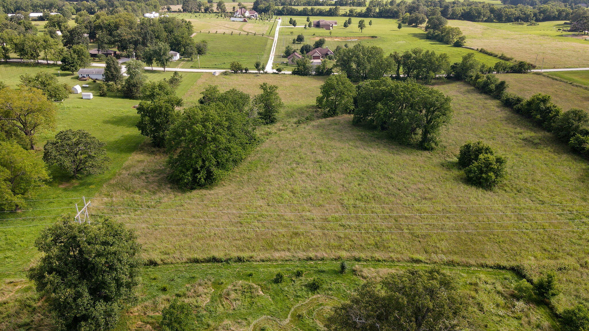 Photo 7 - Land for sale – 000 E Farm Road 194   Rogersville, MO