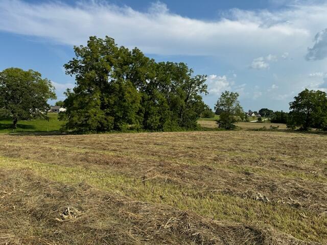 Photo 18 - Land for sale – 000 E Farm Road 194   Rogersville, MO