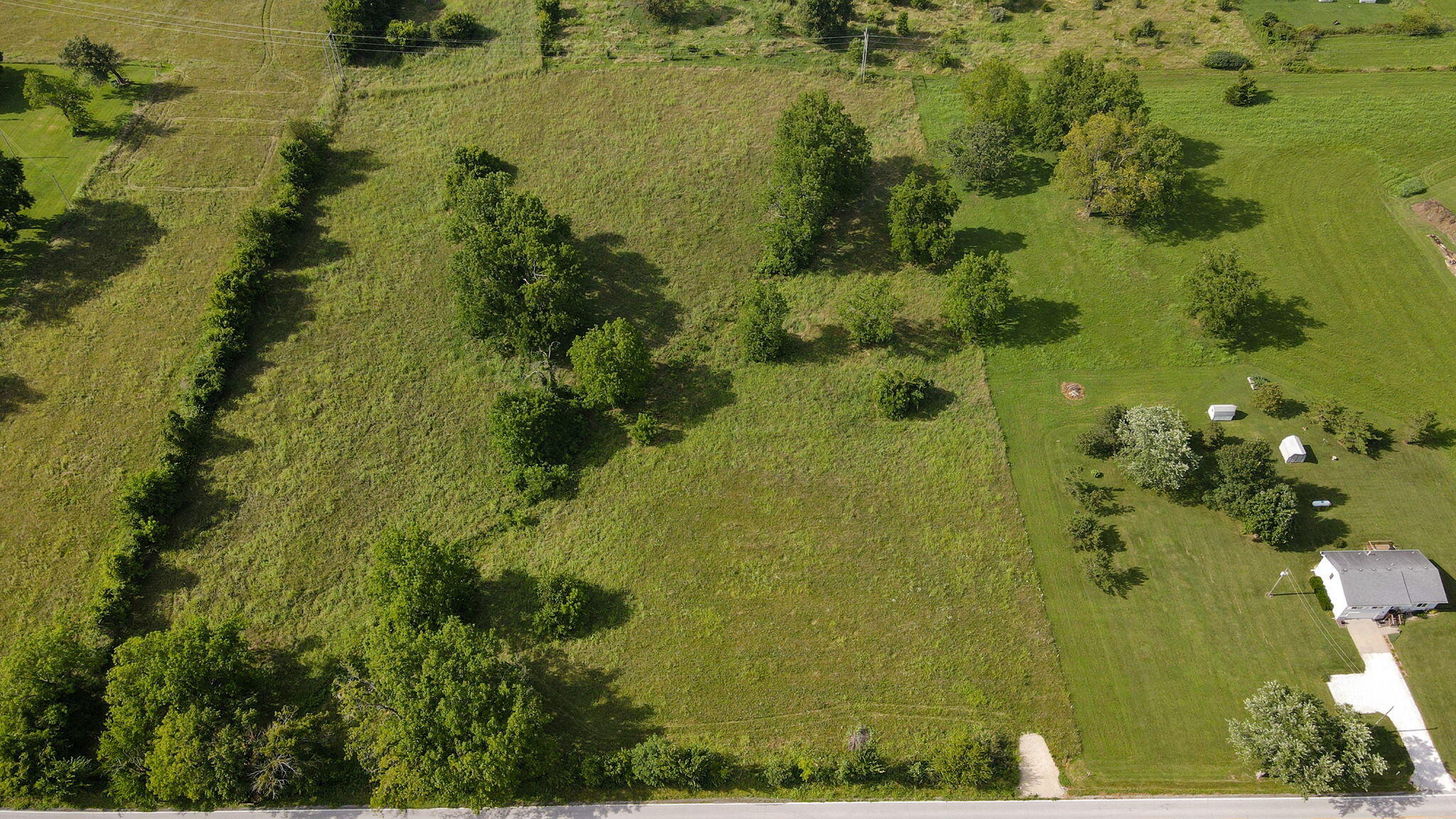 Photo 10 - Land for sale – 000 E Farm Road 194   Rogersville, MO