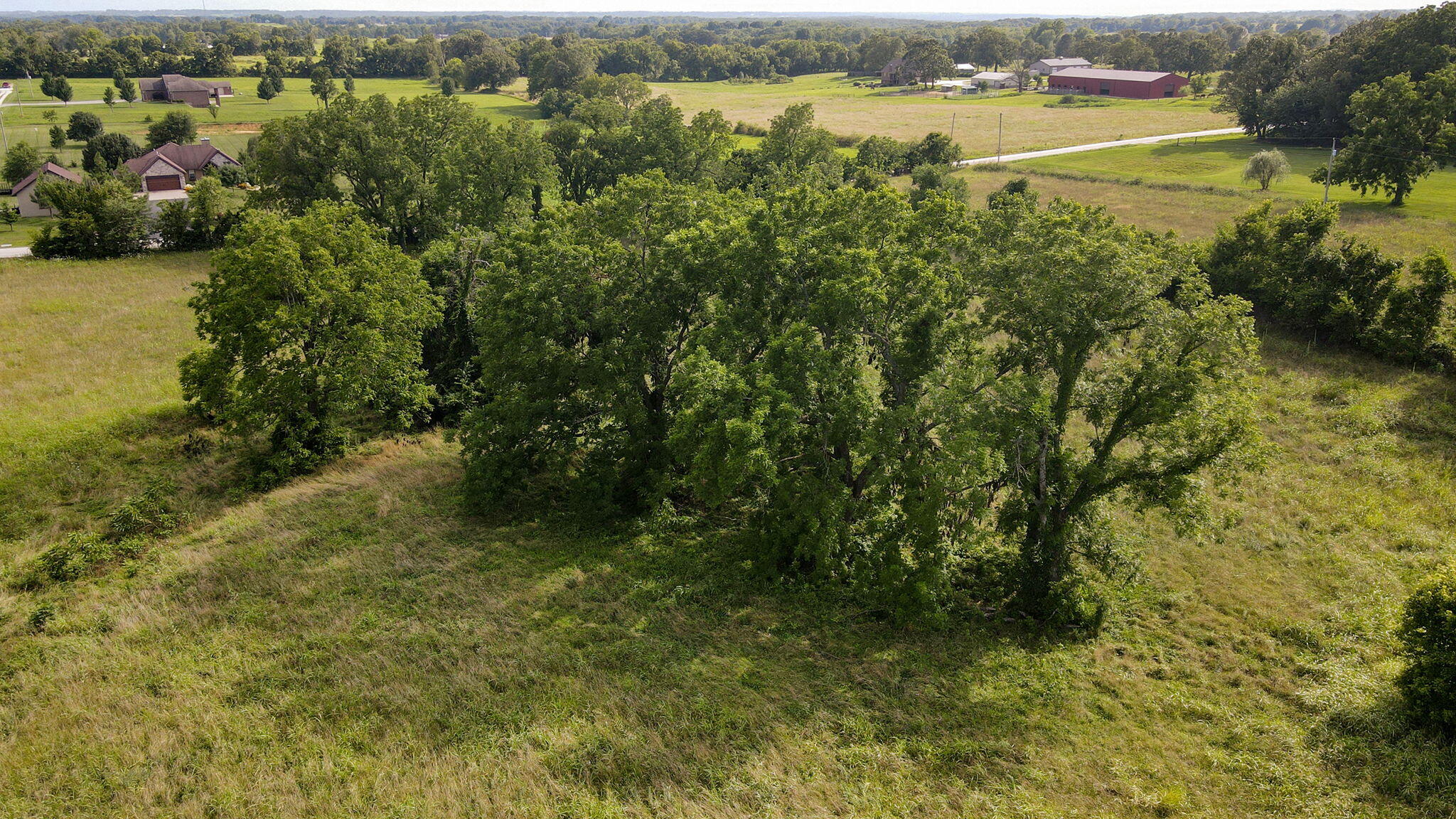 Photo 8 - Land for sale – 000 E Farm Road 194   Rogersville, MO