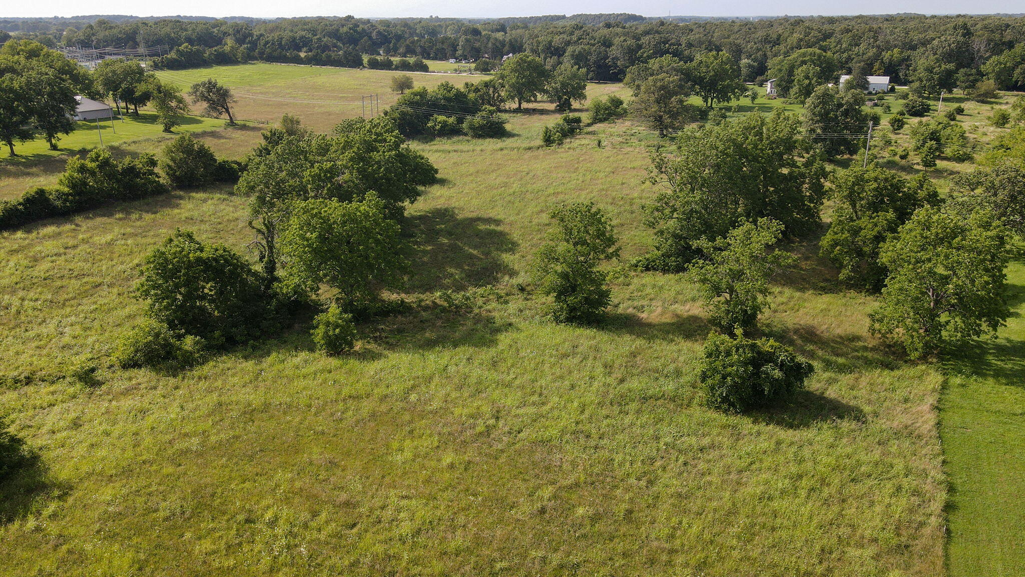 Photo 17 - Land for sale – 000 E Farm Road 194   Rogersville, MO
