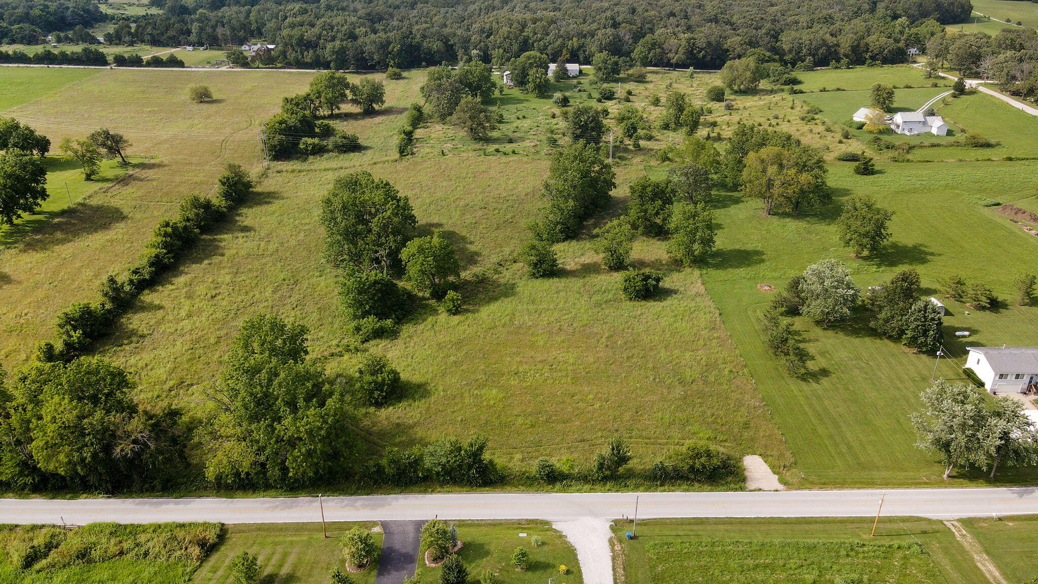 Photo 6 - Land for sale – 000 E Farm Road 194   Rogersville, MO