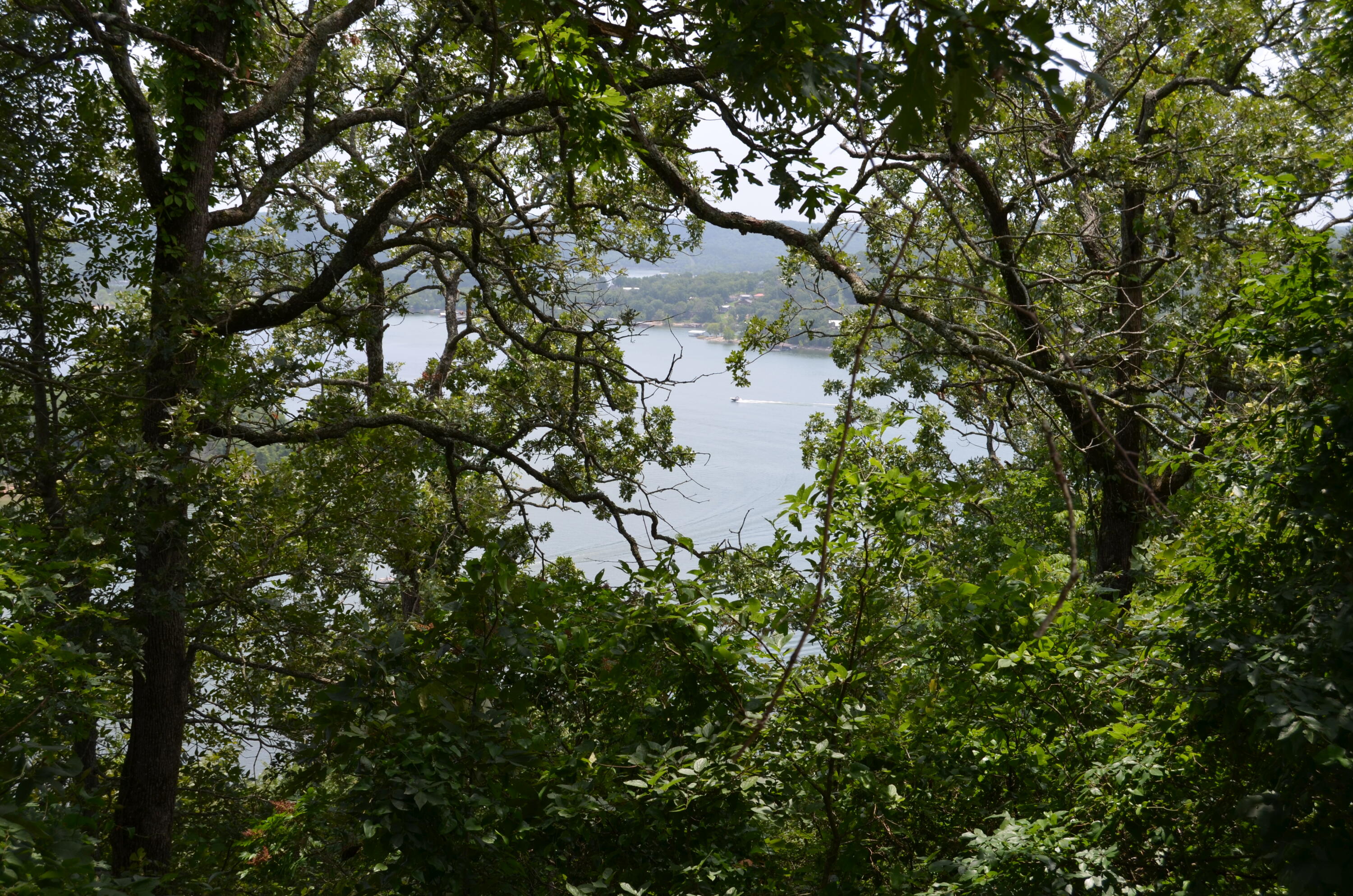 Photo 15 - Land for sale – 233  Cliffside Drive  Galena, MO