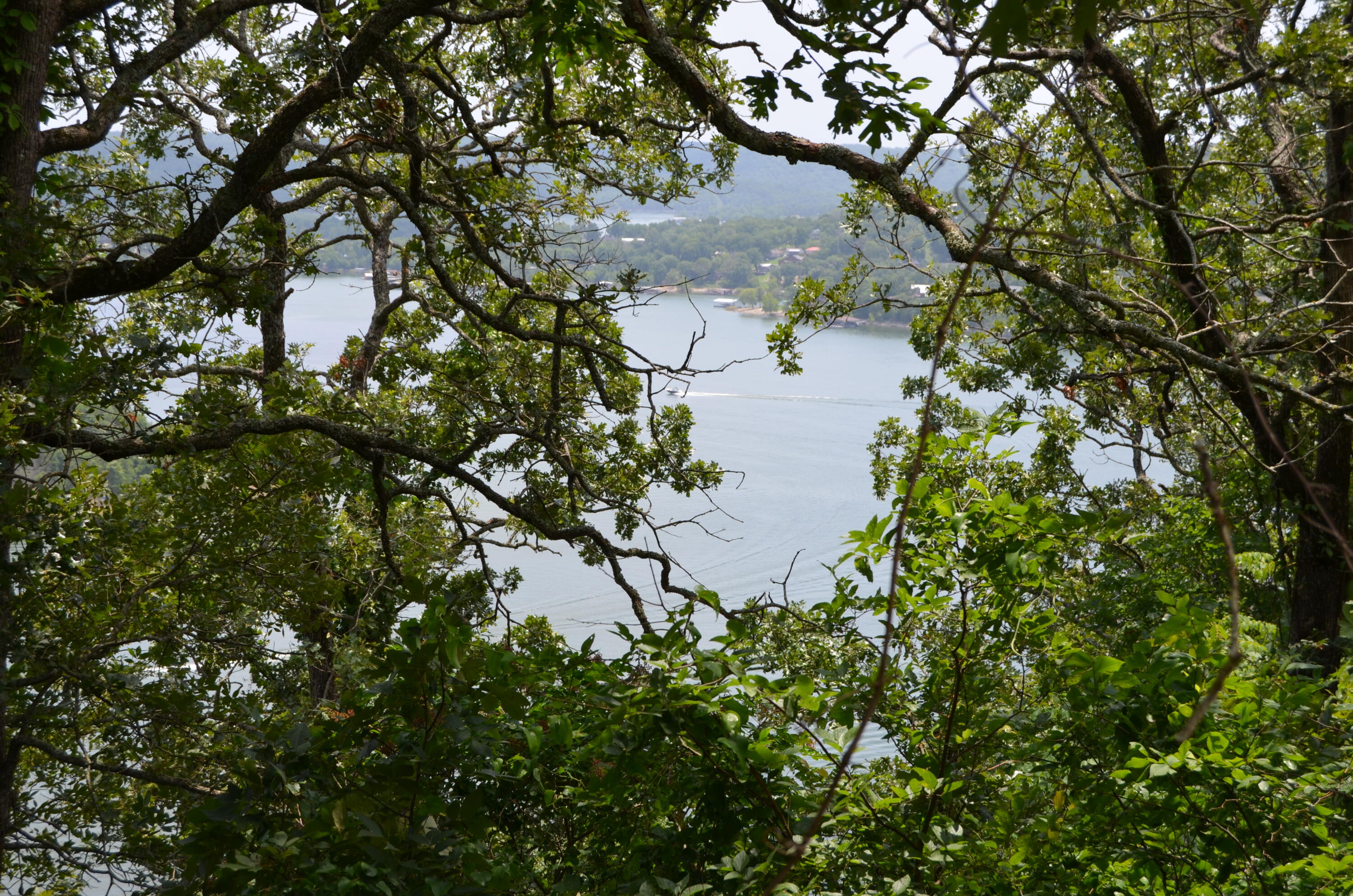 Photo 16 - Land for sale – 233  Cliffside Drive  Galena, MO