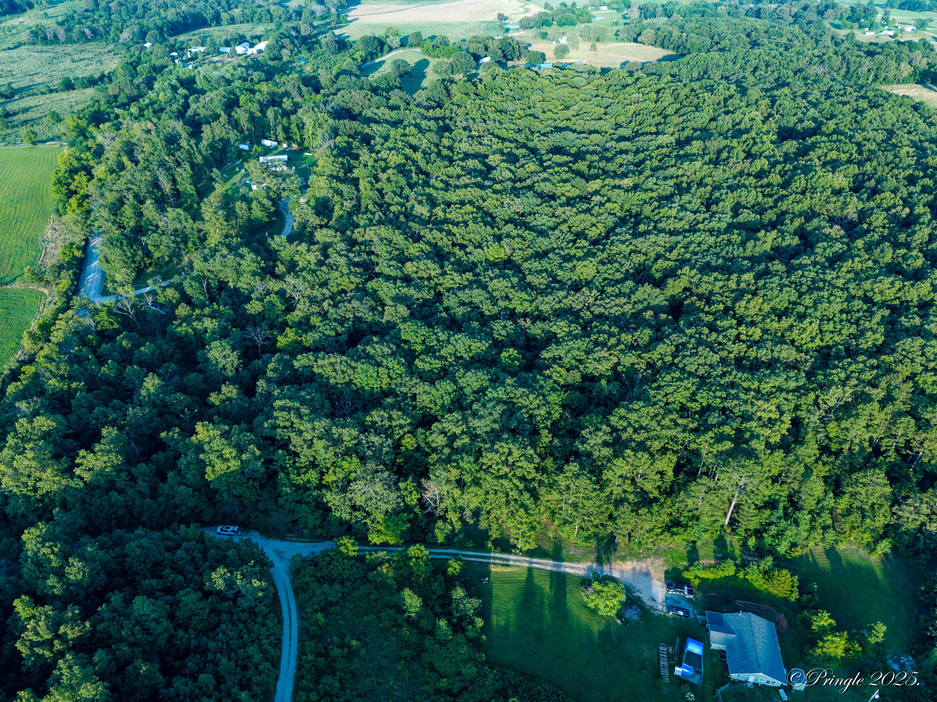 Photo 11 - Land for sale – 000  County Road 4290   West Plains, MO