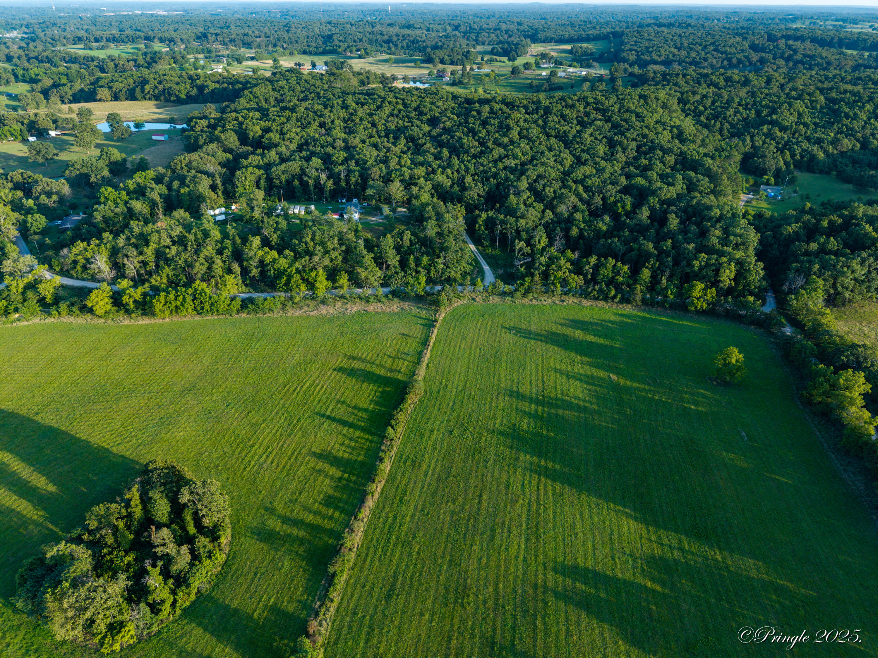 Photo 10 - Land for sale – 000  County Road 4290   West Plains, MO