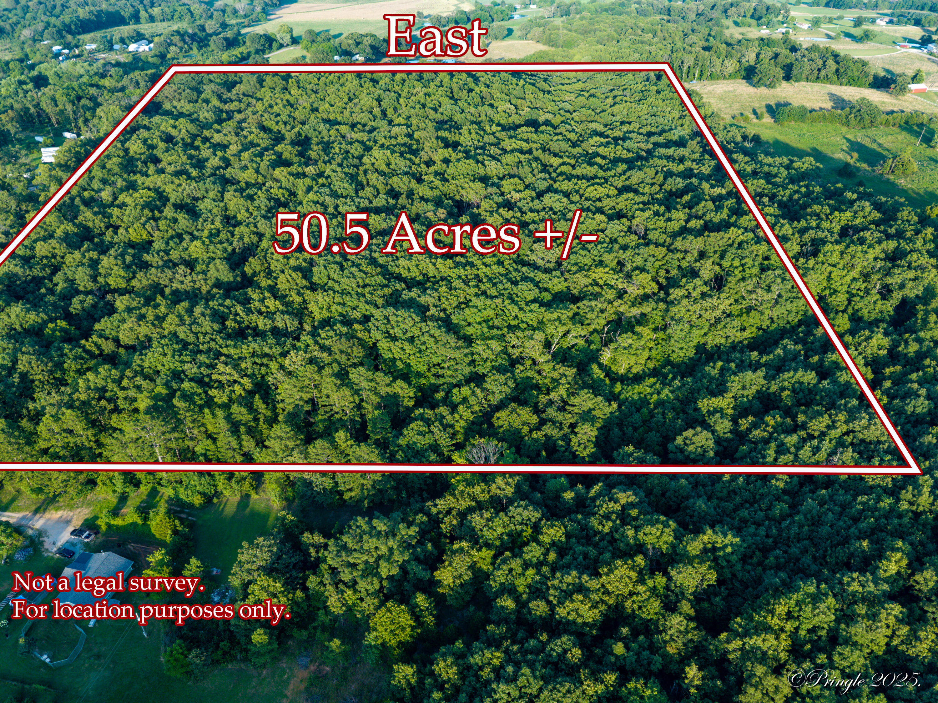 Photo 5 - Land for sale – 000  County Road 4290   West Plains, MO