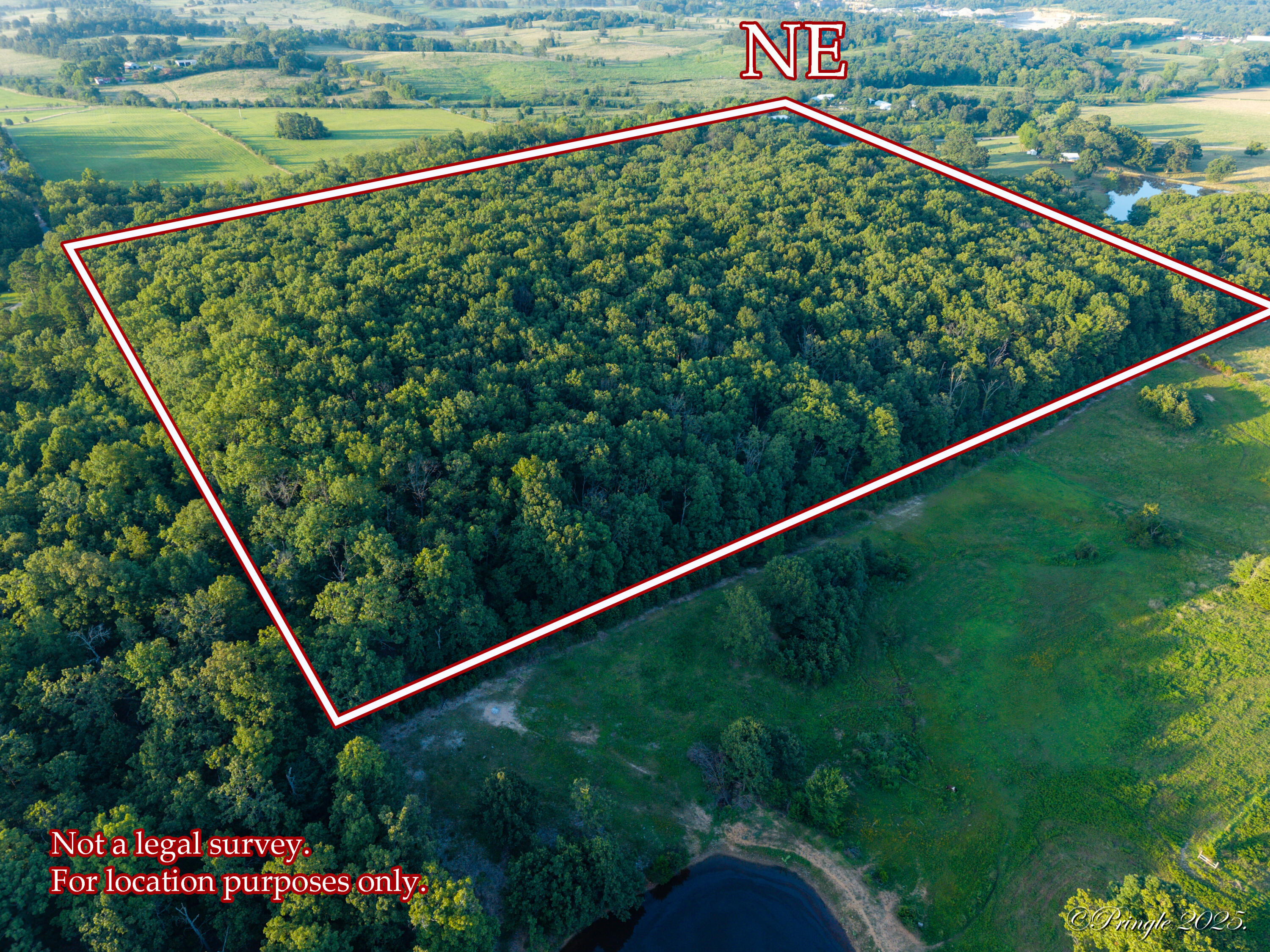 Photo 6 - Land for sale – 000  County Road 4290   West Plains, MO