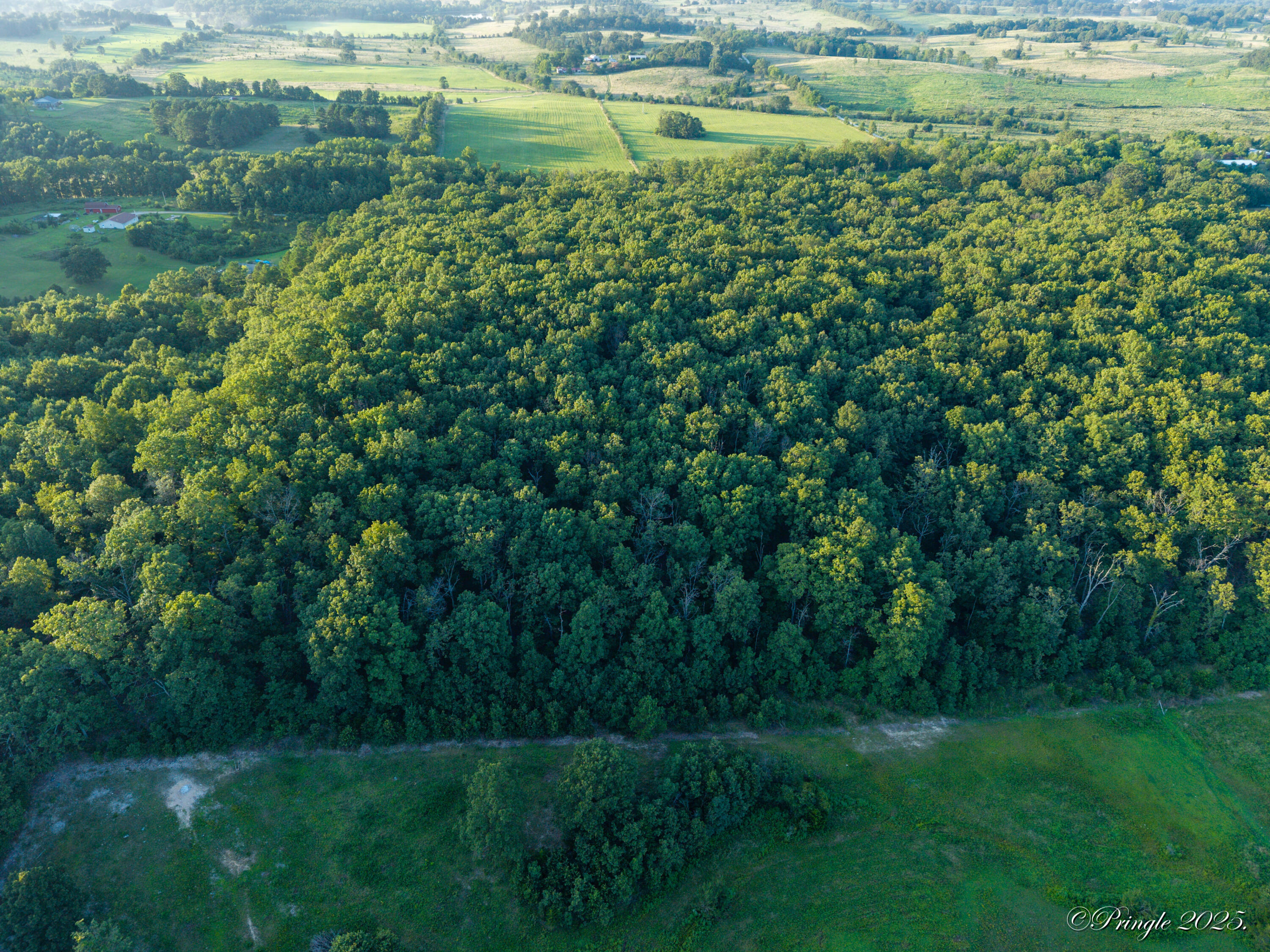 Photo 12 - Land for sale – 000  County Road 4290   West Plains, MO
