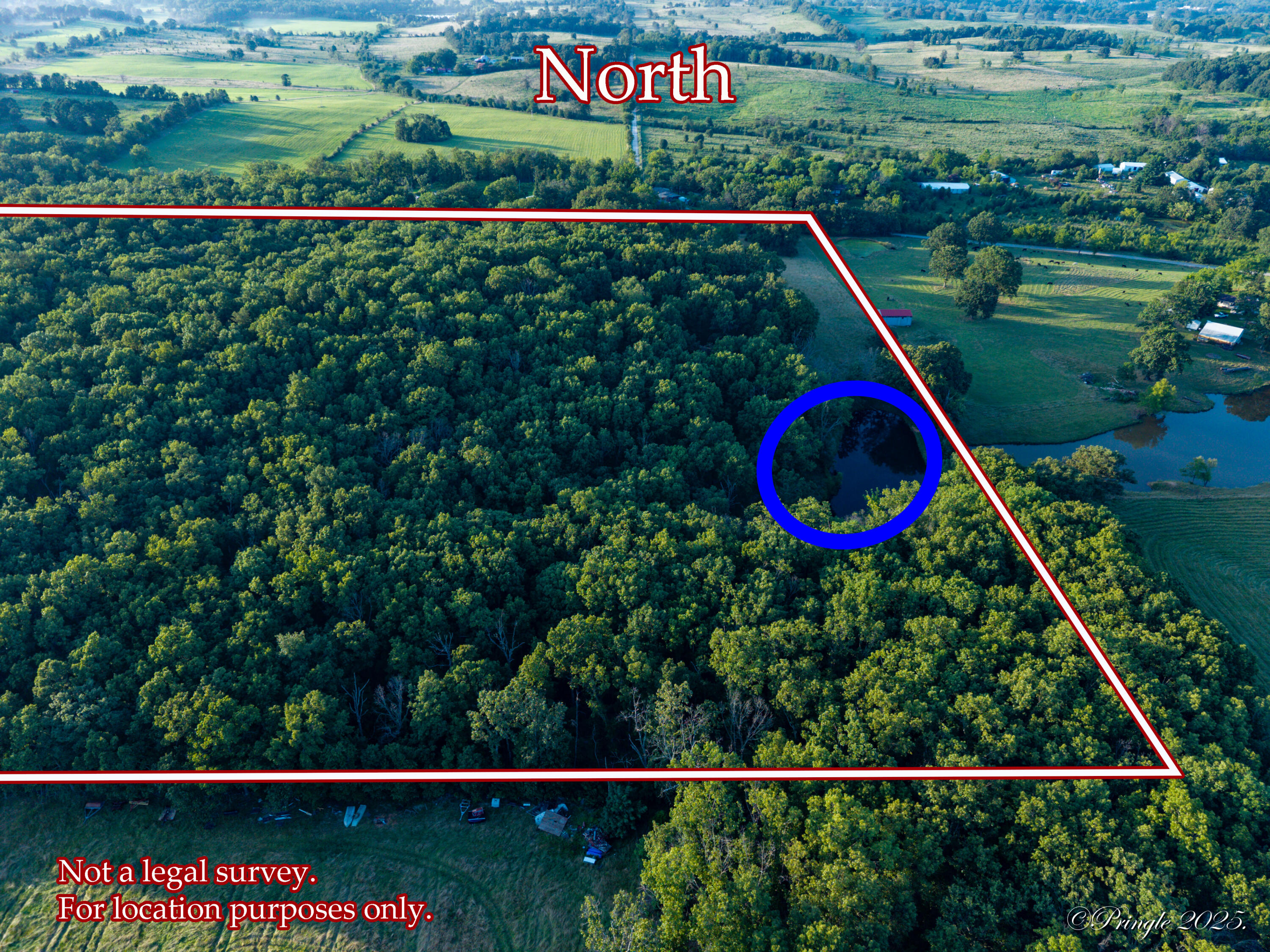 Photo 7 - Land for sale – 000  County Road 4290   West Plains, MO